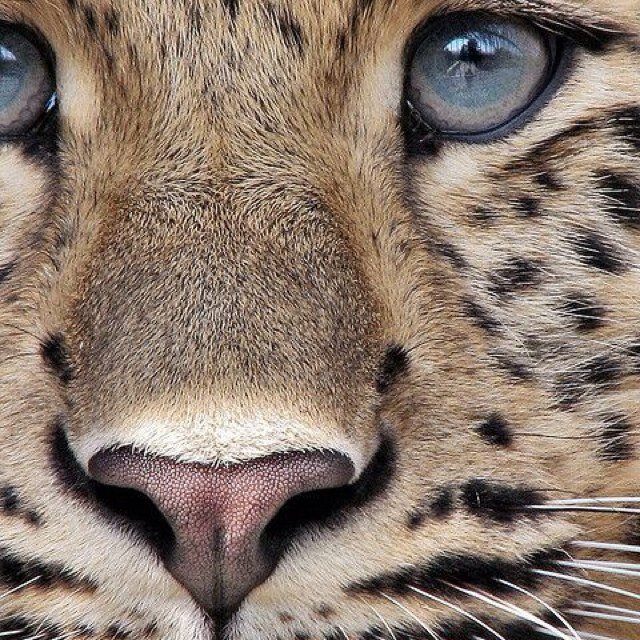 Blissful07's profile picture. A day without laughter,is a day wasted.