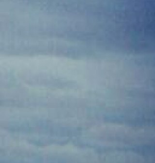 Liekeljahshhxj's profile picture. 