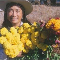 Pseawabear's profile picture. Interests are arts, reading, travel, current affairs, working out, environment, social justice.