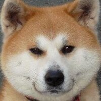 LR13000 (@ltm100) 's Twitter Profile