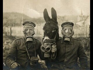 Jotikano_'s profile picture. No estoy aqui para buscar seguidores, estoy aqui para disfrutar letras, disfruta de las mias. Y nada ha pasado.