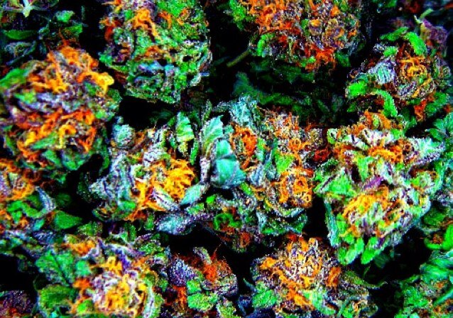 coolkindaguy25's profile picture. Im In Need of some Weed Indeed! #420 NFW Need For Weed