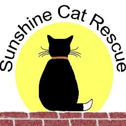 Caring for cats in the Oxfordshire area. Adopt one of our cats. https://t.co/j6KOPIu9tW