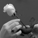 حلاوتي بشقاوتي (@58002Vb) Twitter