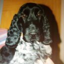 Edwin House - @Neddys1Irl - Twitter