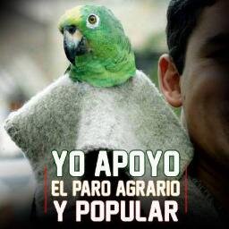 Al Presidente de la Republica JUAN MANUEL SANTOS le ha quedado GRANDE este pais. Por eso #LoQueEsConLosCampesinosEsConmigo #FuerzaCAMPESINOS