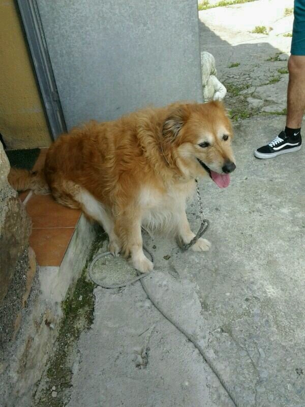 IdurreO's profile picture. 