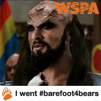 DKlingon's profile picture. It is a good day to die, Khaleesi.