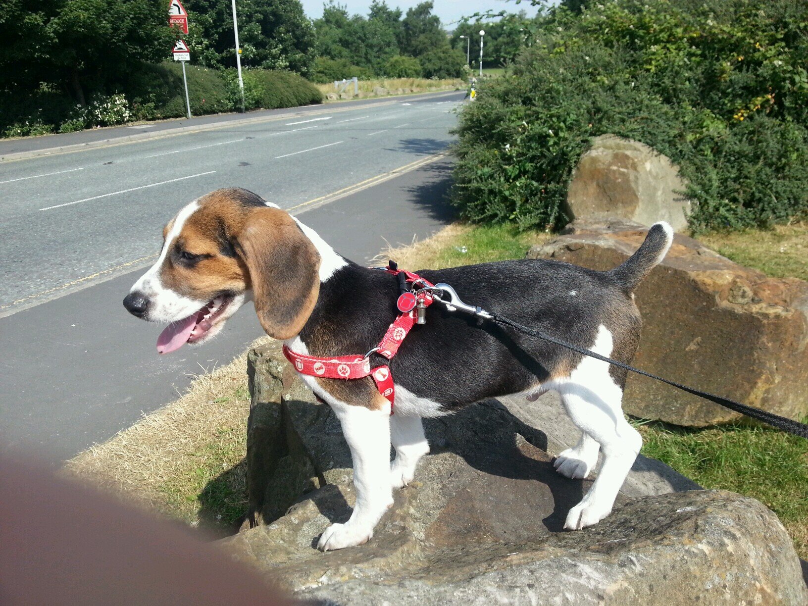 hairybumcrack's profile picture. 