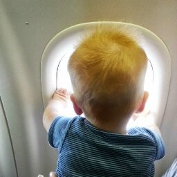 sdelamothe's profile picture. New to twitter. I don't speak much, but when I do everyone around me listens. I'm the most interesting baby in the world.
