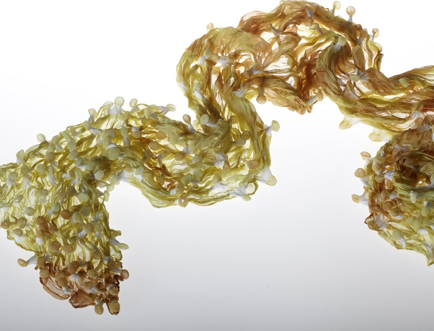 textilesyuh's profile picture. scarves for fashion and art.