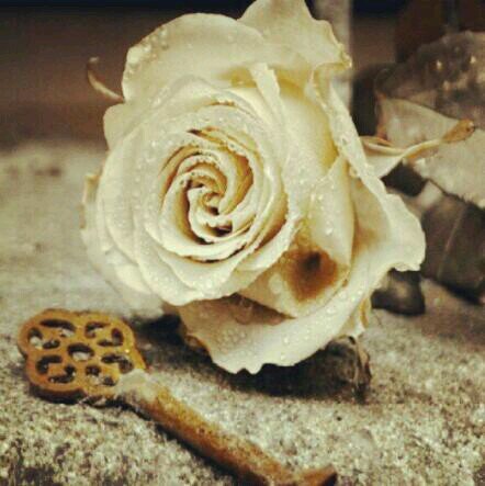 hh11223316's profile picture. مصممة دعوآت زوآج وعقد قرآن أكترونيه فديو&وطلب يكون قبل المناسبةة بشهر او آسبوعين والآسعار على حسب دقايق المقطع لجميع دول&لتوآصل وطلب بالخاص عبر تويتر