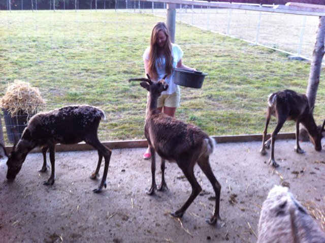 MeggieKen's profile picture. Nottingham vet grad interested in exotics and ophthalmology. Love dolphins and ultimate frisbee.