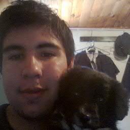 Estudiante de traducción, fan de Glee, OUAT, AHS, Pokemon, Golden Sun ♥, Nintendo, Gatos, Perros