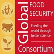 Worldwide initiative aimed at solving global food and nutrition security challenges through research, outreach and capacity building.