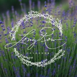 We are a lavender farm located in Wright City, MO!