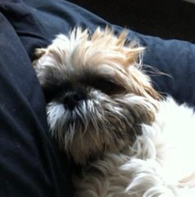 PenNewman's profile picture. 