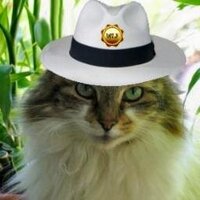patlockley (@patlockley) 's Twitter Profile