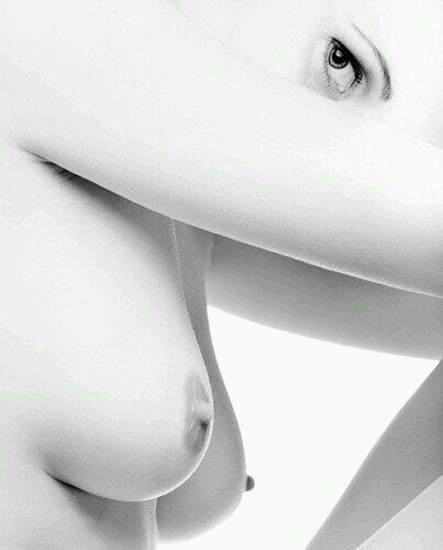 nohotdogsorlegs's profile picture. 