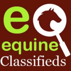 Searching for Equestrian Made Easy!
Horses for sale FREE Advertising!!