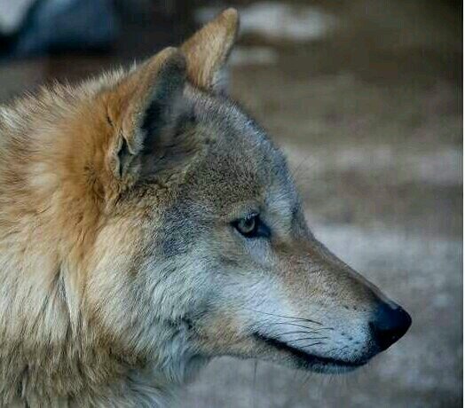 ladyhawk6914's profile picture. 단순하게,즐겁게,느리게,참되게