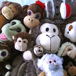 Ever wonder what #MonkeyBusiness went on around that table? Transcend into New Possibilities & have #ConsciousConversations with Chimps who KNOW!