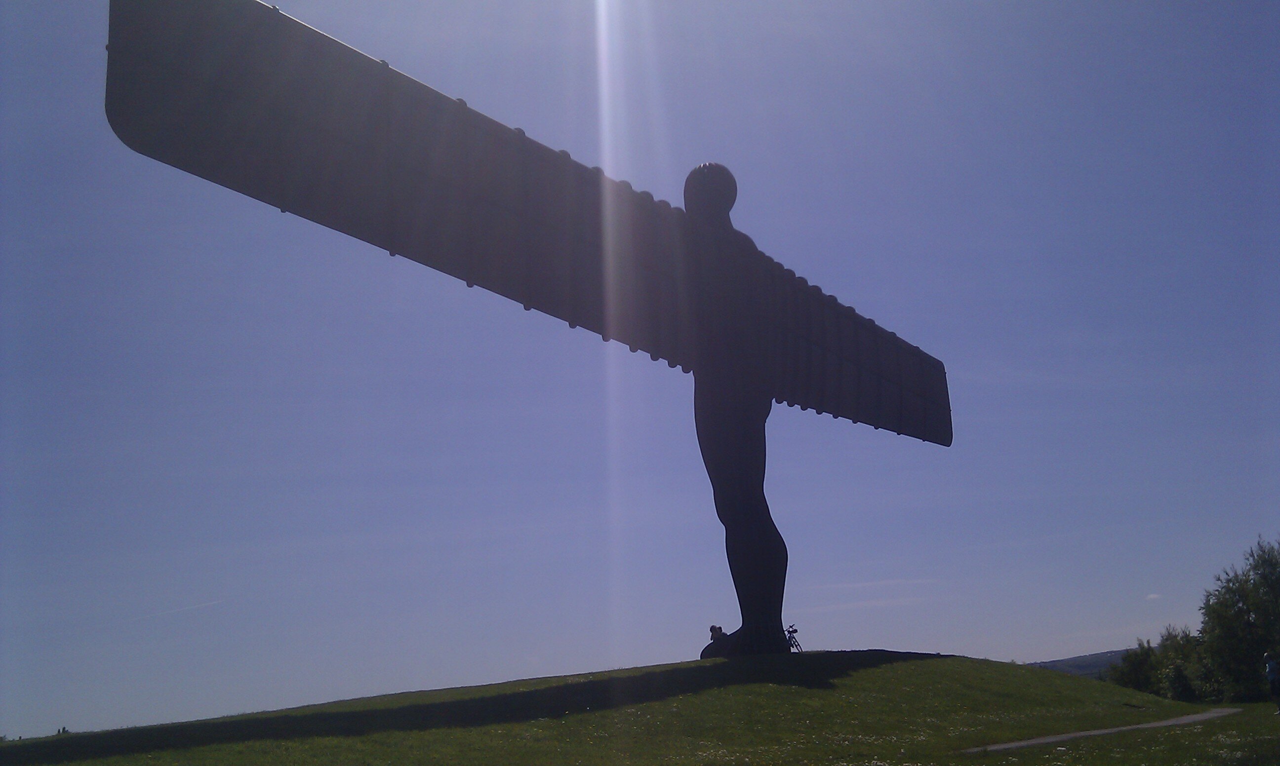 Fazzanova's profile picture. 