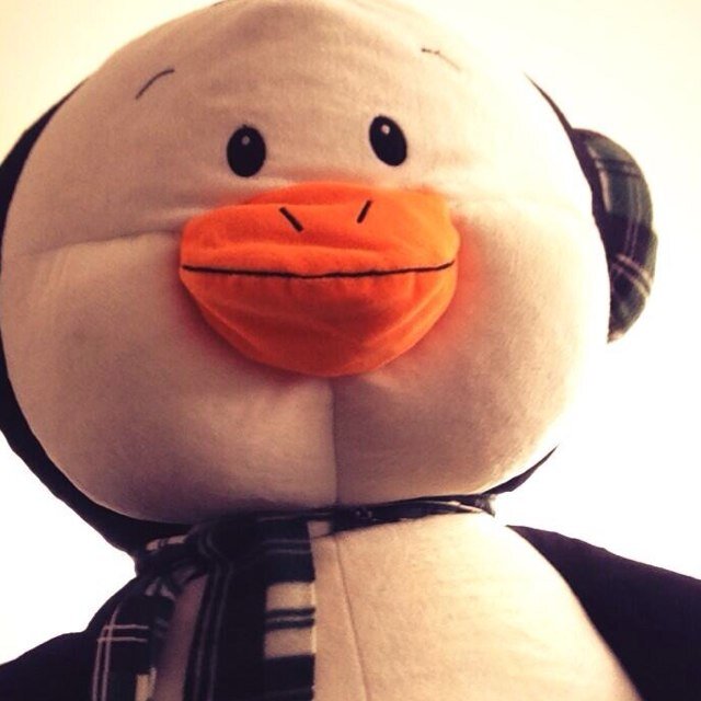 Luke's my girlfriend! I belong to 5SOS