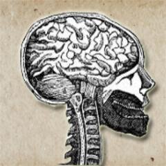Critically thinking for a stronger backbone.