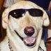 Donna M.C. Stratton (@dmcs66) Twitter profile photo