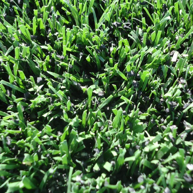 Judging all things athletic turf
