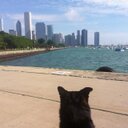 Amy Sova - @SovaAmy - Twitter