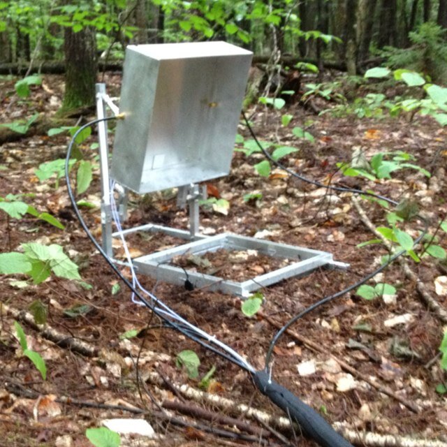 Senior Lab Tech in Serita Frey's Soil Microbial Ecology Lab and masters student for the Department of Natural Resources & the Environment