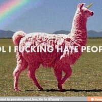 LOL PICS ❤️ Memecoin (@rebeccagrey01) 's Twitter Profile