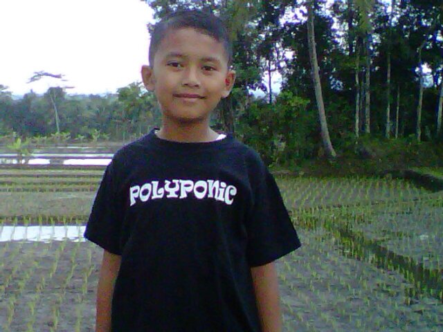 PMR Nesatta