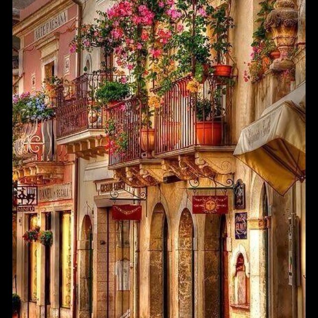 febyan66's profile picture. 