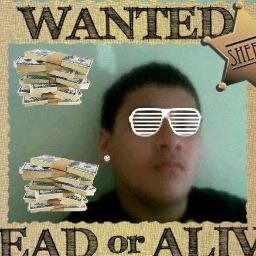 WEB426108365's profile picture. 