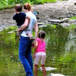 Encouraging and coaching others on a Wholistic path to natural health and financial freedom is my job. Homeschooling and Loving the Lord is my life.