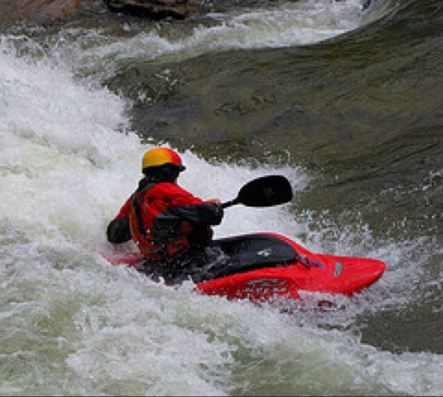 svnth_trumpet's profile picture. 