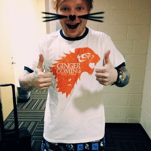 Flame_Haired_Ed's profile picture. So umm... Basically, I love Ed Sheeran and he's having my babies so yeahh.. Follow mehh