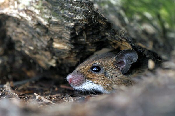 paolalemusr's profile picture. Todos sabemos lo que tenemos que hacer...el tiempo apremia!