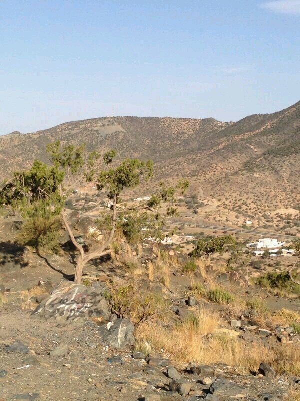 m7mado0o0's profile picture. ‏‏‏‏‏‏‏آللـهــمـ آـرـحــمـ آلـمـؤـمــنــيــنـ ـؤآلـمـؤـمــنـآـتـ  \ـؤآلـمــسـلـمــيــنـ ـؤآلـمــسـلـمـآـتـ آلآـحــيـآء ـمــنــهــمـ ـؤآلآـمــؤآـتـ