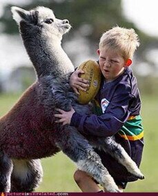 Robbie123's profile picture. I AM AWESOME!!!