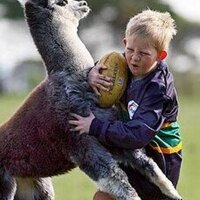 Robert Rodgers (@robbie123) 's Twitter Profile