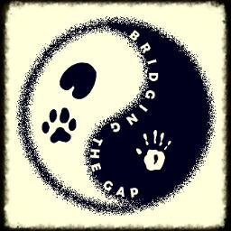 Animal Communicator - Intuitive healing for your animal companion and counseling for the caretaker. Bridging the gap between animal and human.