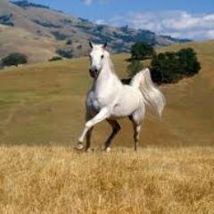 ChrisSmall07's profile picture. 