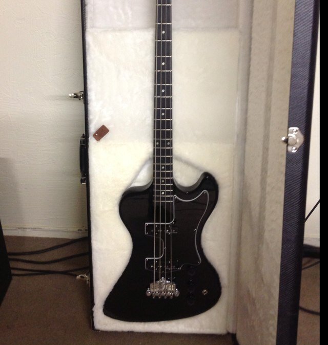 bass player in a band, producer, more to come.....