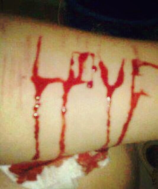 shahrukhk060389's profile picture. 