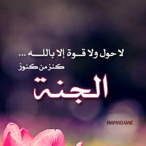 jojo2302844527's profile picture. 