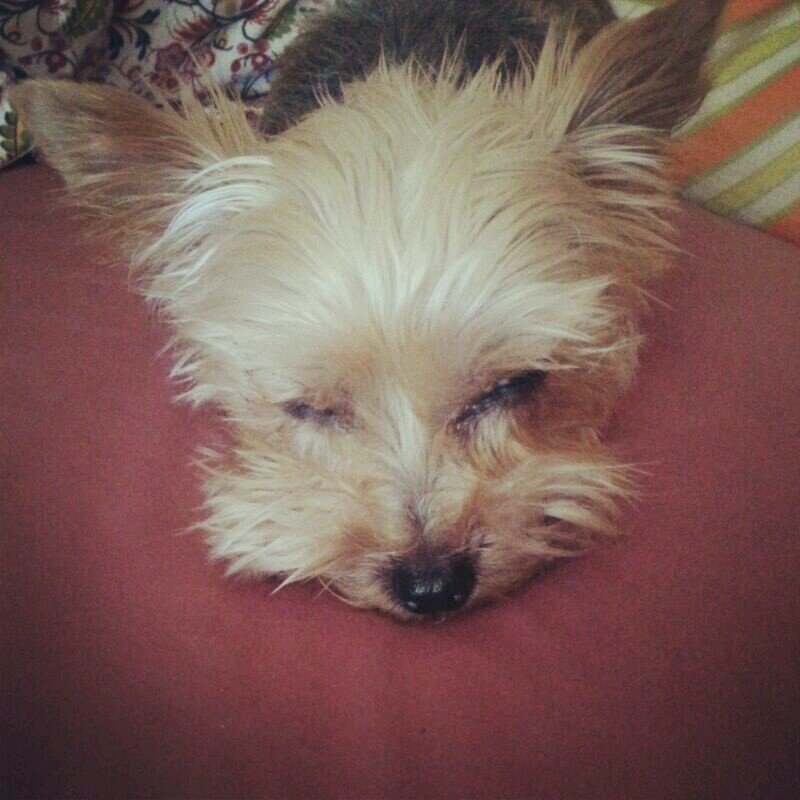 Montsi_NYC's profile picture. https://t.co/8ZOm8aDF5n, https://t.co/TkbDDKLDrg, https://t.co/NpWuPMZ5O9